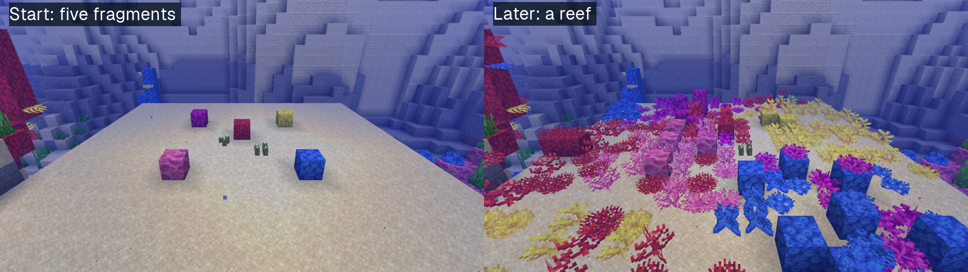 From five fragments to a reef