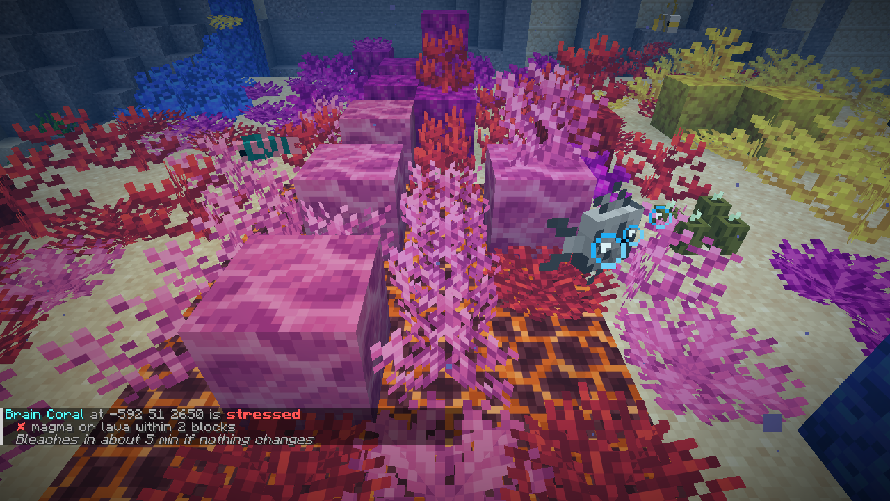 /reef check next to a magma vent