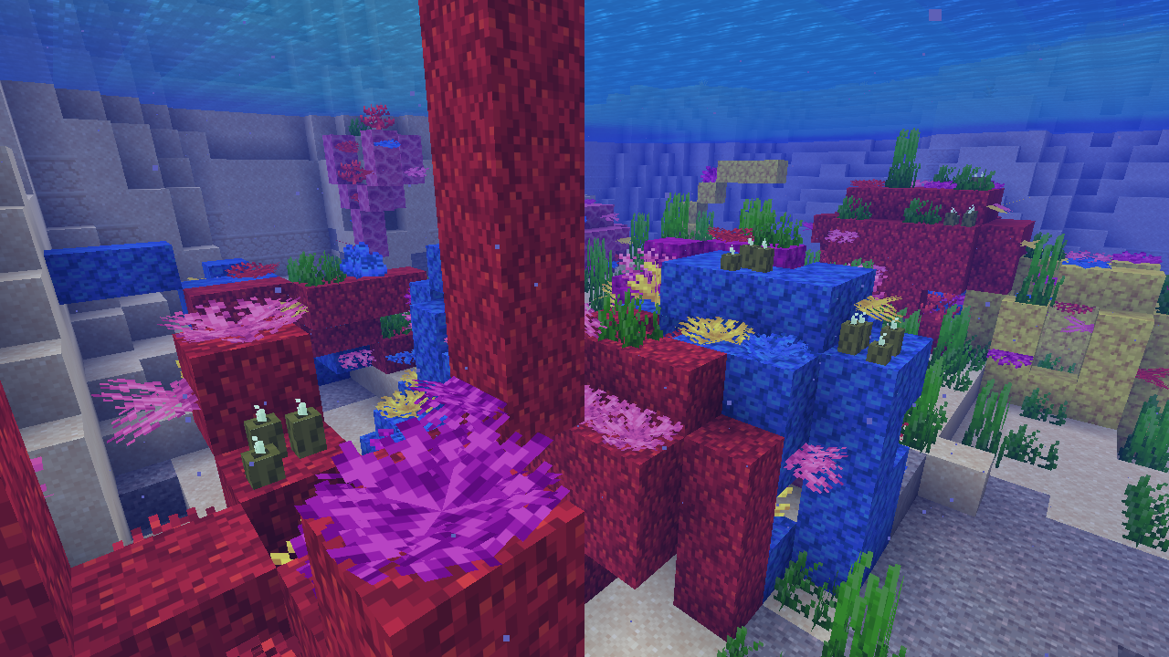 A natural warm ocean reef under water