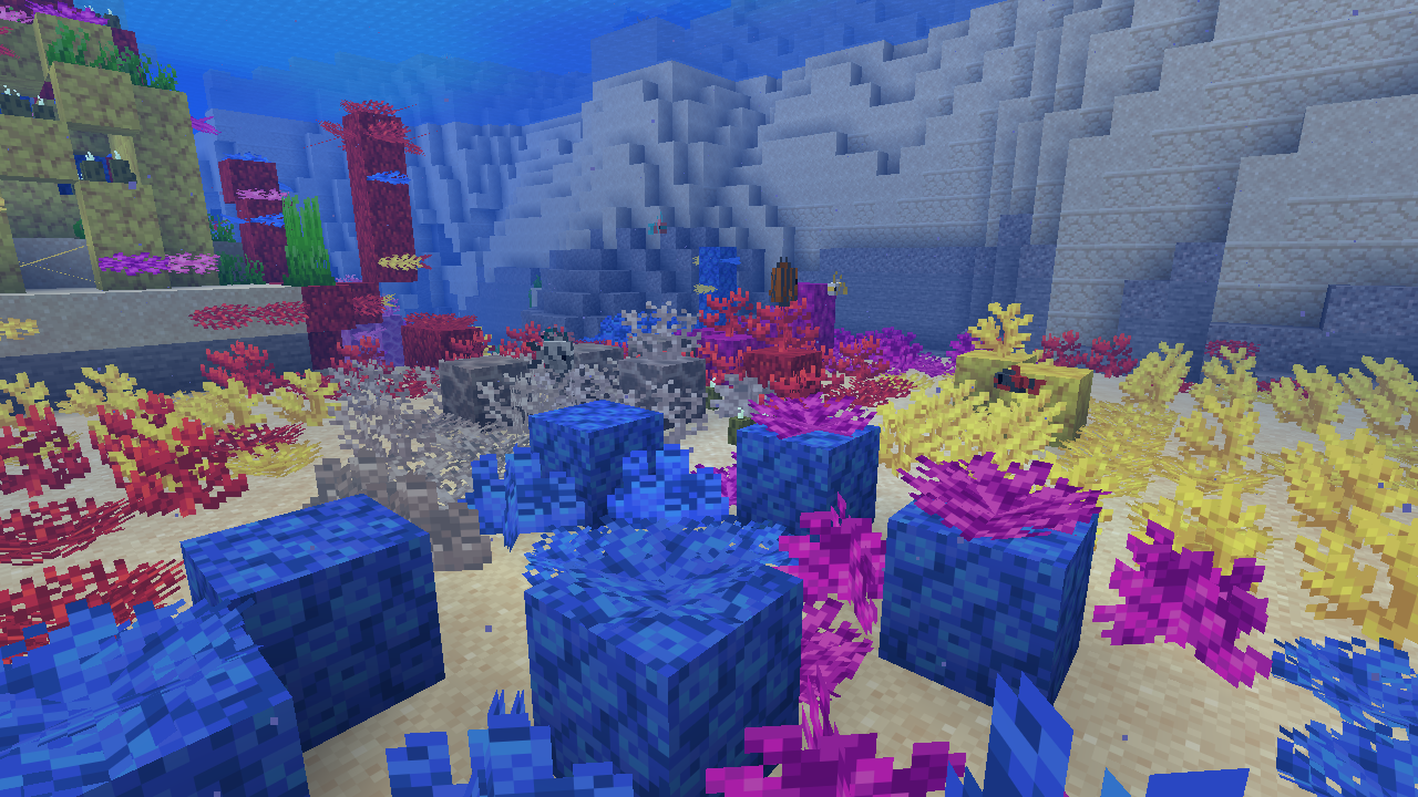 The restored reef up close